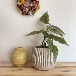 Übertopf Streifen Boho Dekoration Pflanzen